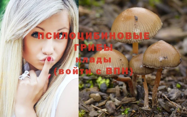 jwh Баксан