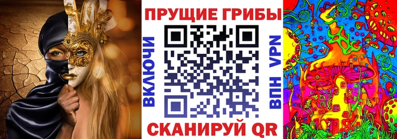 Галлюциногенные грибы мицелий  цены наркотик  omg зеркало  Плёс 